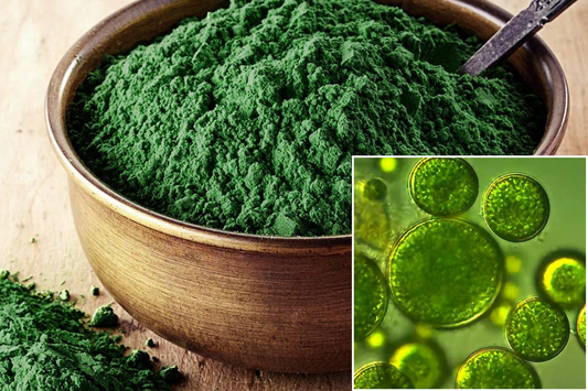 Chlorella as Superfood